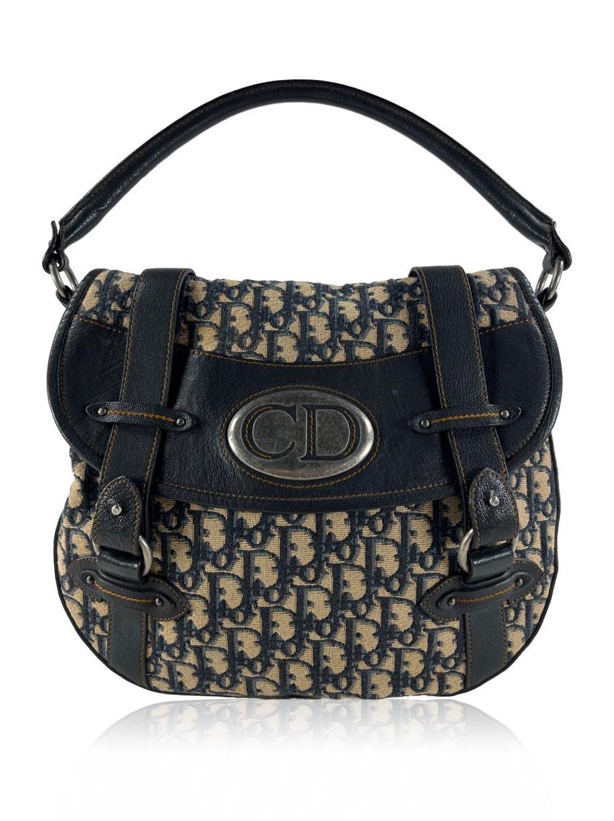 christian dior oblique