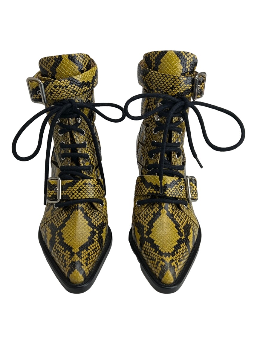 chloe rylee python