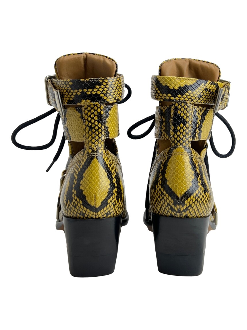 chloe rylee python