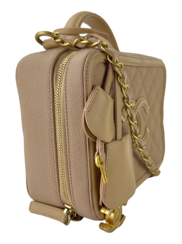 ポメラニアンCHANEL Pet Model Brasil › Coco Chanel