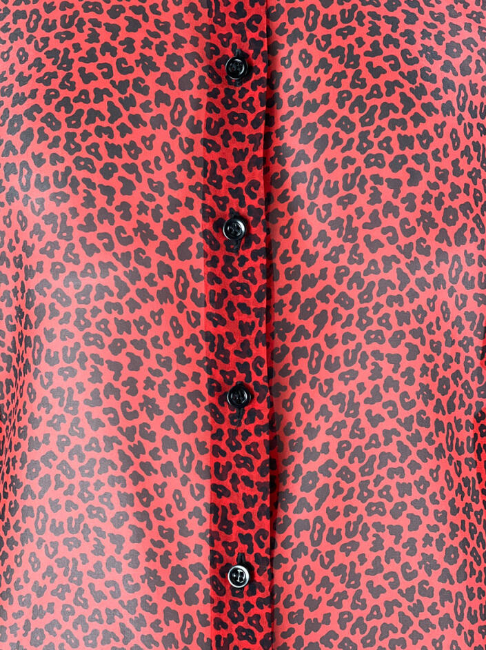 Camisa Christian Dior Seda Animal Print - FLX536 Original