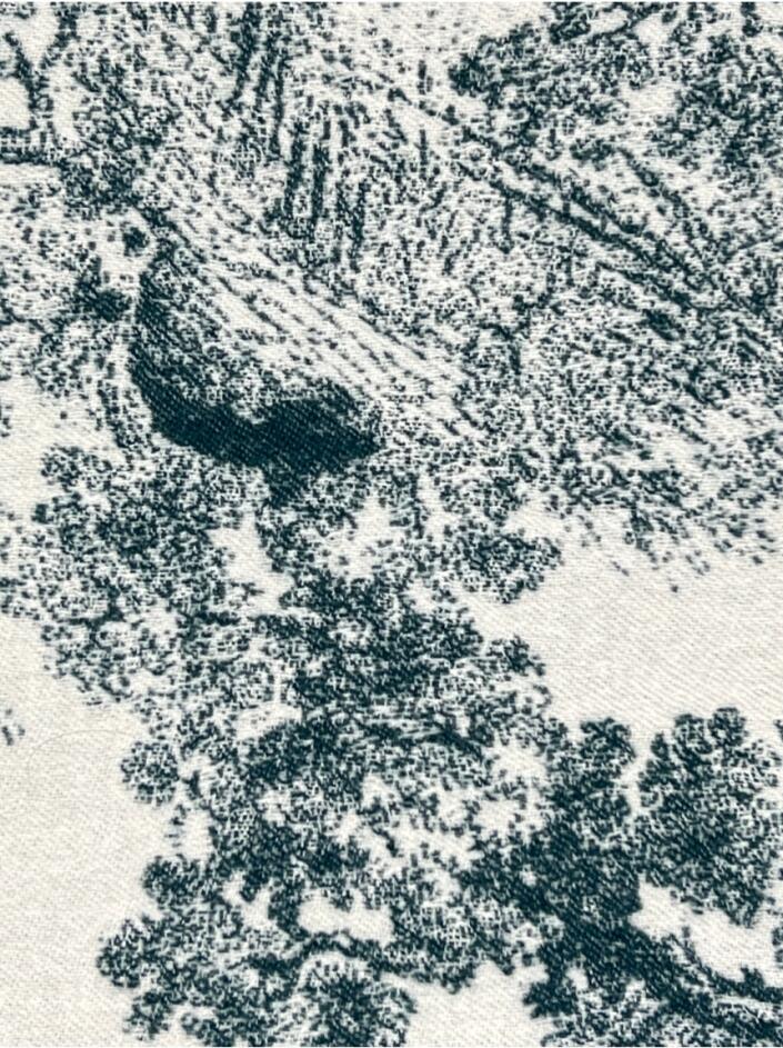 Manta Christian Dior Toile de Jouy Throw Verde - CBY885 Original