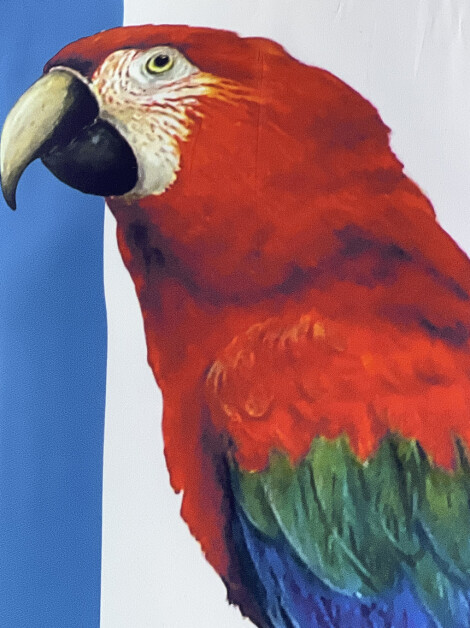 Vestido Pedro Lourenço Estampa Arara