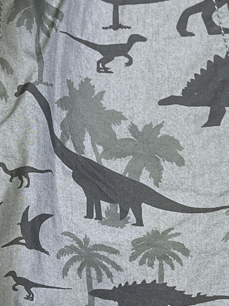Bermuda H&M Estampa Dinossauros Verde