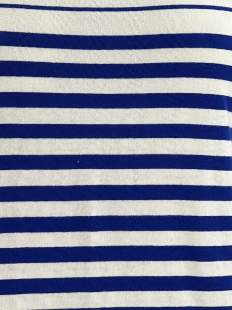 Blusa Sardina Listrada Azul