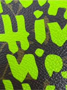 LV ART  Louis Vuitton 8 1/2x11 Framed Wall Art