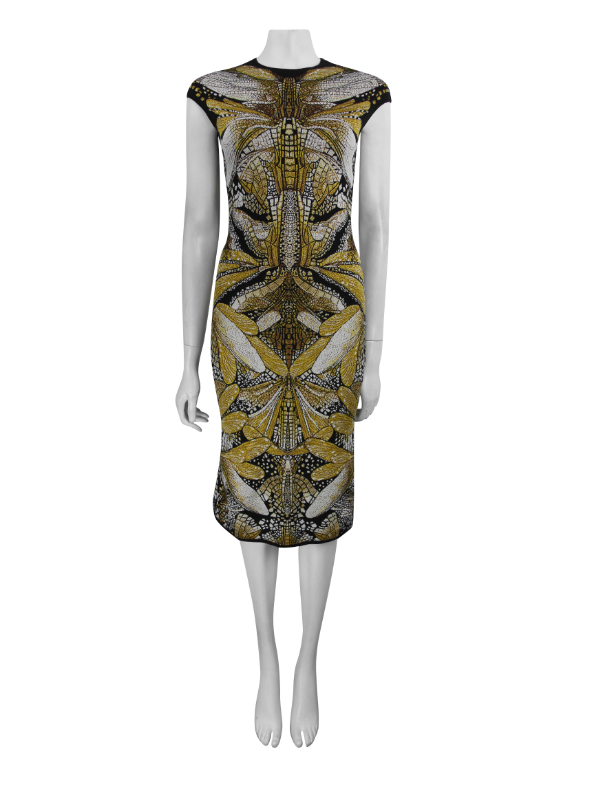 Alexander mcqueen 2024 dragonfly dress