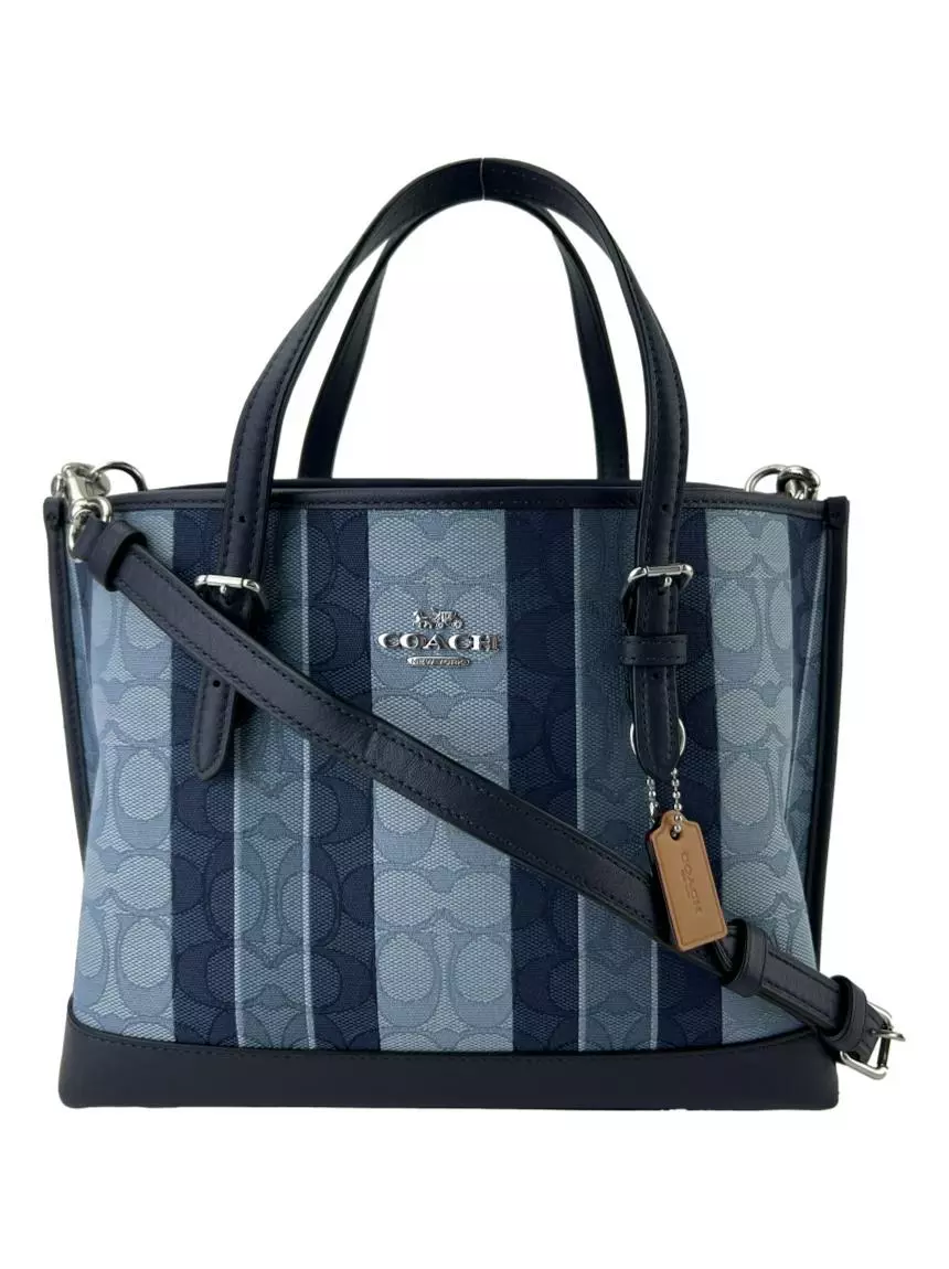 Bolsa coach discount mollie tote