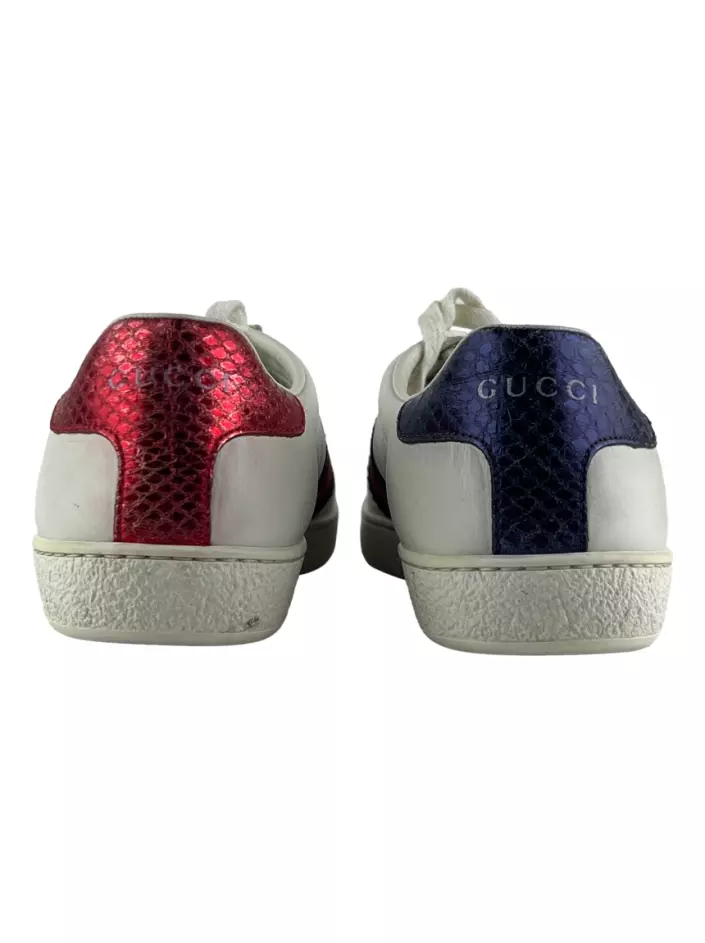 Tenis gucci ace discount snake