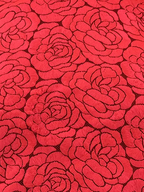 Blusa A.L.C. Floral Rosa