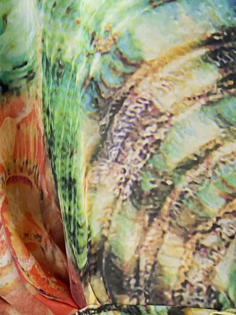 Blusa Roberto Cavalli Seda Estampado