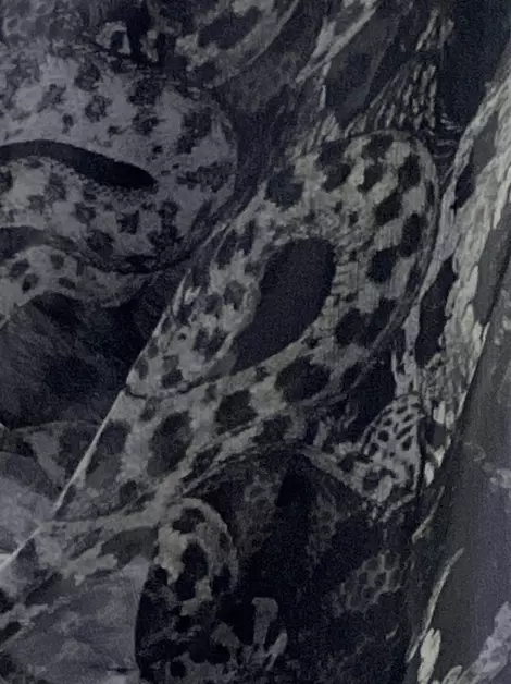 Calça Roberto Cavalli Tecido Animal Print