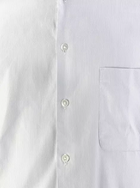 Camisa Adolfo Dominguez Manga Longa Listrada
