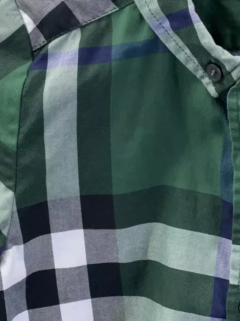 Camisa Burberry Xadrez Verde