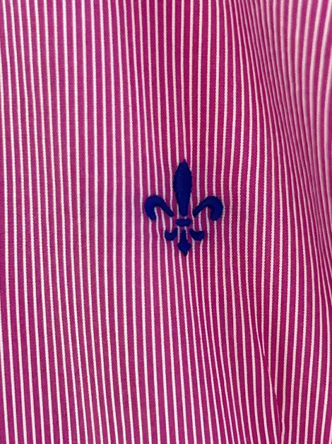 Camisa Dudalina Petit Strech Listrado