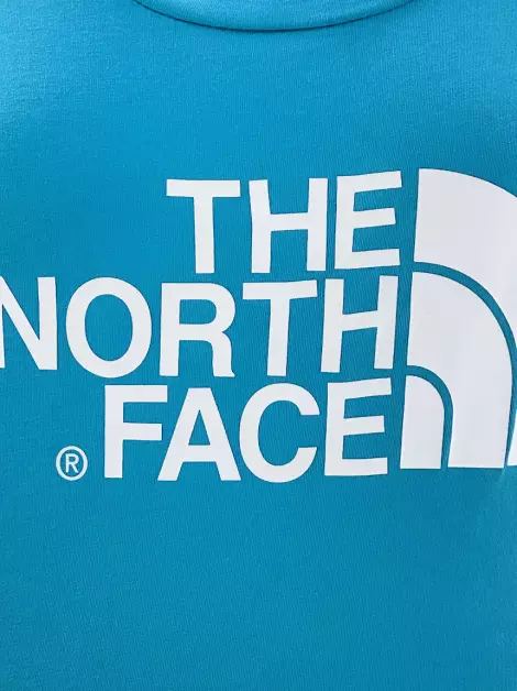 Camiseta The North Face Logo Verde