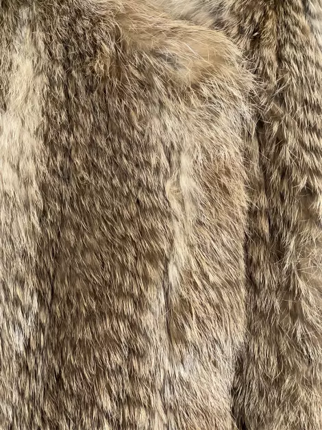 Colete Carlos Miele Fur Marrom