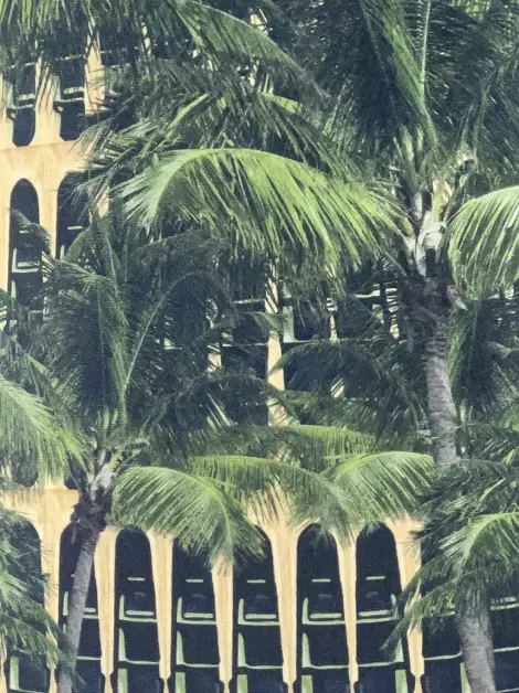 Maiô Água De Coco Tecido Estampado