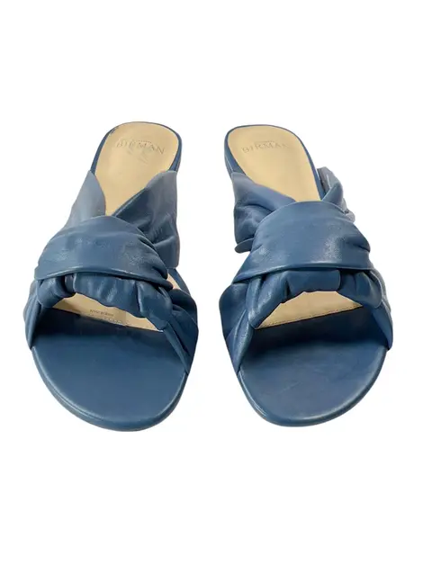 Rasteira Alexandre Birman Tiras Azul