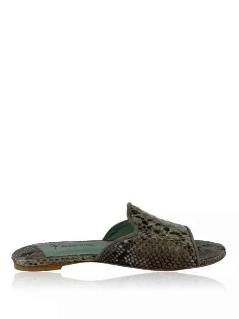 Rasteira Blue Bird Python Cinza