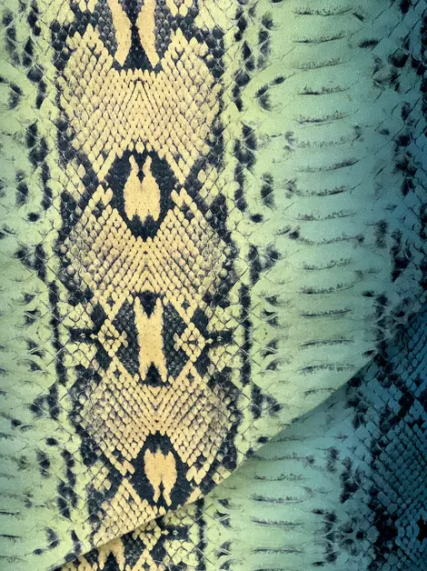 Saia Tig Estampa Animal Print Multicolor