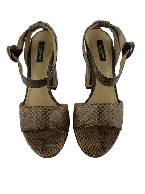 Sandália Dolce & Gabbana Tiras Animal Print